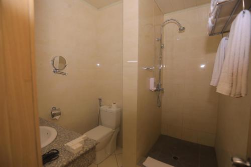 a bathroom with a toilet and a sink and a shower at Haile Hotel Debre Birhan in Debre Birhan