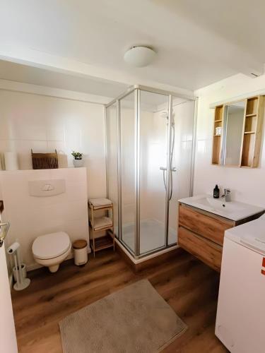a bathroom with a shower and a toilet and a sink at Südsteirer Suite in Bad Radkersburg