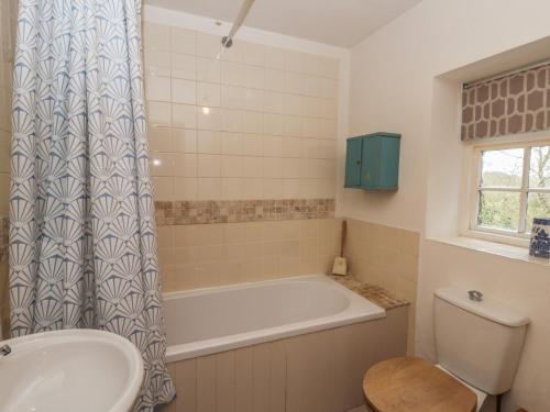 a bathroom with a tub and a toilet and a sink at Tyn Y Fron in Llanrhystyd