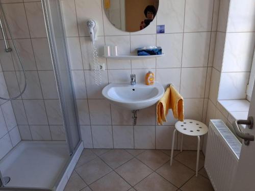 a bathroom with a sink and a shower and a mirror at Pension Hösl in Mitterteich