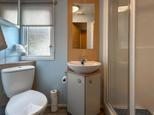 a bathroom with a toilet and a sink and a shower at The Ash in Angus