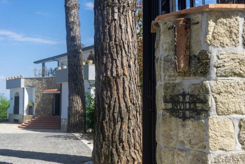 a tree next to a brick wall with a window at B&B InVilla in Naples