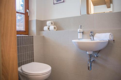 a bathroom with a toilet and a sink at Apartmán Říčky 23 in Říčky