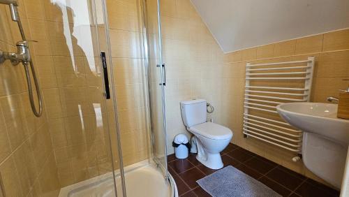 a bathroom with a shower and a toilet and a sink at Oberża Pod Kudłatym Aniołem in Cisna