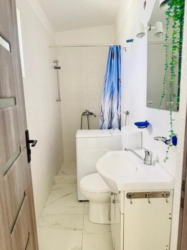 ein weißes Badezimmer mit Toilette und Waschbecken in der Unterkunft Hotel Etrusco in Gherla