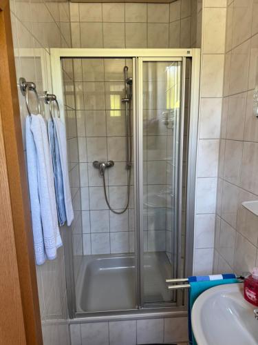 eine Dusche mit Glastür im Badezimmer in der Unterkunft Hotel Fantastic in Neckartenzlingen