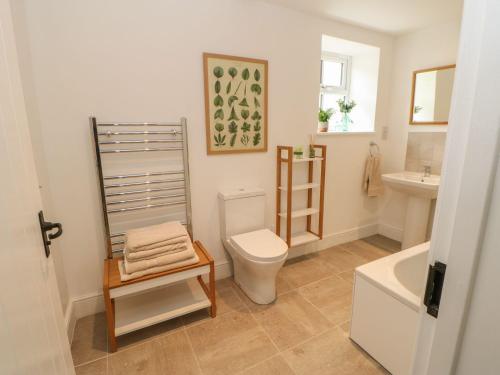 a bathroom with a toilet and a sink at Dairy Cottage in Kirkby Stephen