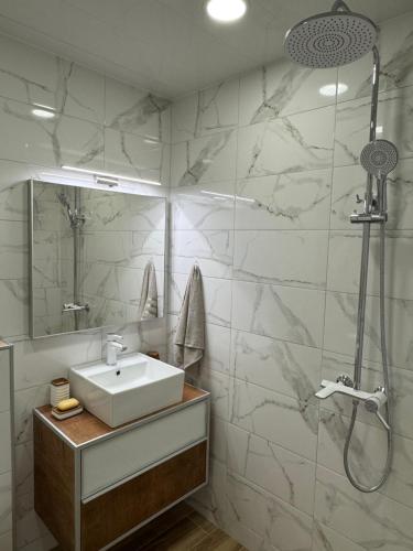 a bathroom with a sink and a shower at Aneva home in Ruse