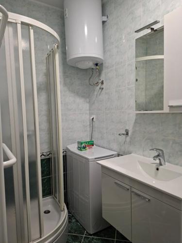 a bathroom with a shower and a toilet and a sink at Guest house Lavanda 4 in Njivice