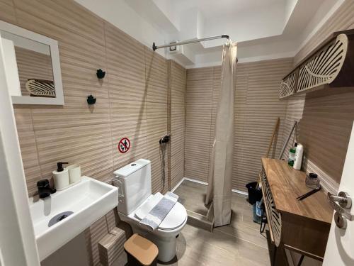 a bathroom with a toilet and a sink and a shower at Afytos sea view in Afitos