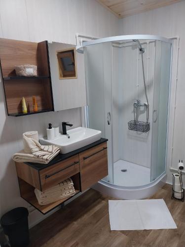 a bathroom with a sink and a shower at Drvena Oaza in Gornja Toplica