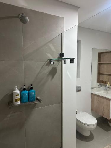 a bathroom with a shower with a toilet and a sink at St Francis Links- Gallery Deck Links Villas in St Francis Bay