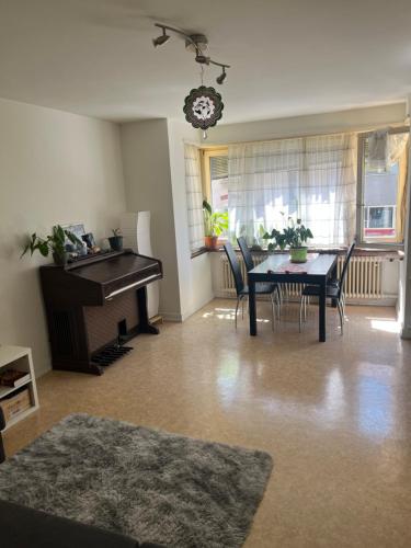 Cozy Apartment in the heart of the Zurich Botanic Garden