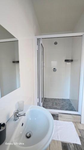a bathroom with a white sink and a shower at MOHALALITOE B and B in Maseru