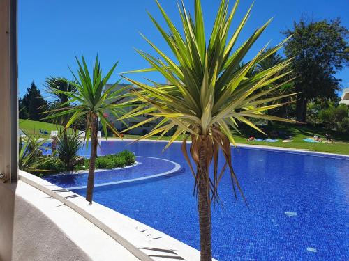 Appart ensoleillé balcon et piscine, proche plages