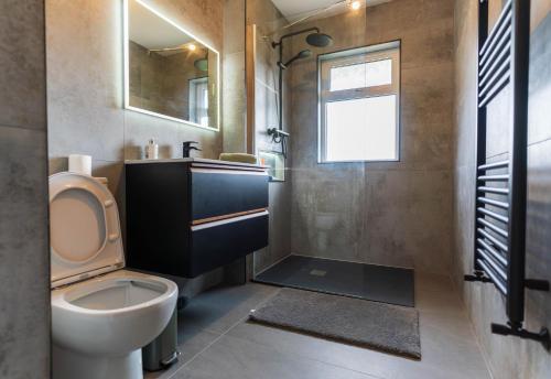 a bathroom with a toilet and a sink at Kerry Hideaway - Killorglin in Killorglin