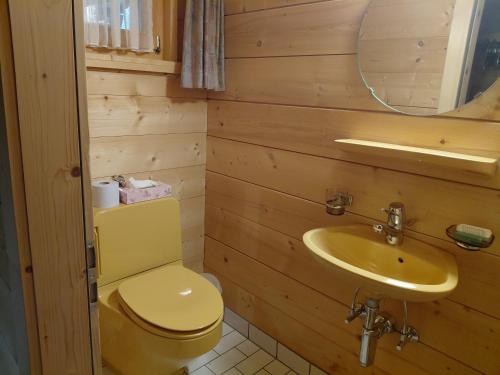 Gemütliche 3 Zimmer Wohnung in Lenzerheide