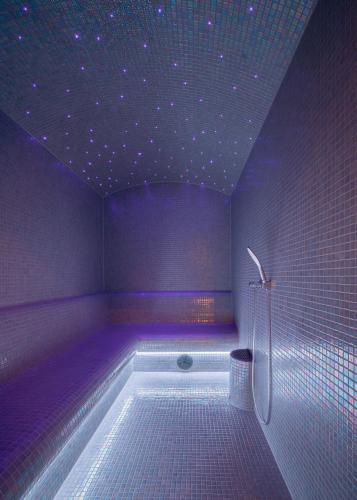 a purple bathroom with a tub with a purple ceiling at MARSHALL Golf & Wellness Hotel in Sokolov