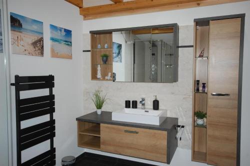 a bathroom with a sink and a mirror at Haus Schambachtal in Treuchtlingen