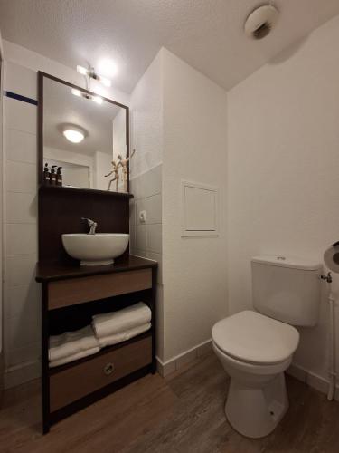 a bathroom with a white toilet and a sink at Le 540 - Annecy - Parking in Annecy