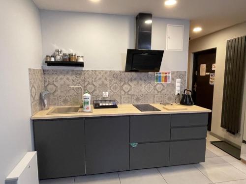 a kitchen with a sink and a counter top at Domki całoroczne - u Ptaka - Miłków in Miłków