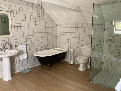 a bathroom with a sink and a tub and a toilet at Maison Fougere in Franschhoek