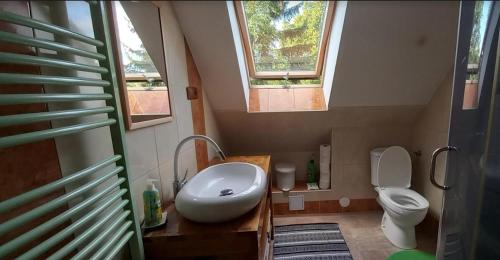 a bathroom with a sink and a toilet with two windows at Chalupa pod smrky in Bedřichov