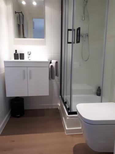 a bathroom with a shower and a sink and a toilet at Chalet Du Mont in Ruien