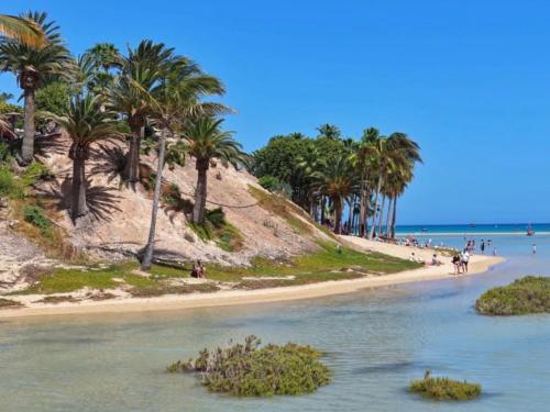 Apartment Delfines Sand Corralejo By Holidays Home