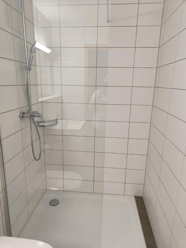 a bathroom with a shower with a toilet and a sink at Zum Goldenen Schwanen in Frankenried