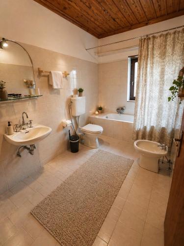 ein Badezimmer mit Waschbecken, Toilette und Badewanne in der Unterkunft Vikos View in Aristi