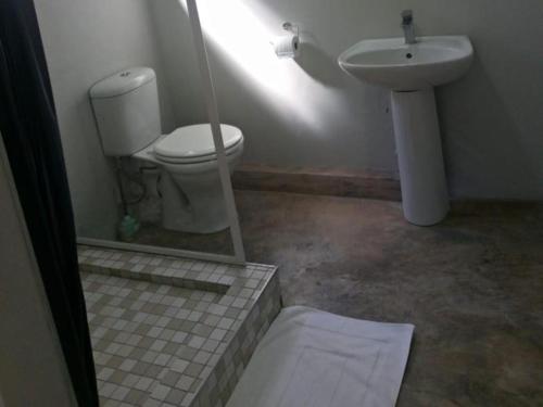 a bathroom with a toilet and a sink at Waveside Guesthouse in Durban