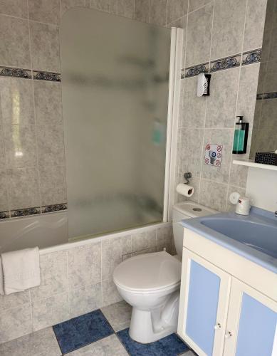 a bathroom with a toilet and a tub and a sink at Golf Hotel de la Carte in Chouzy-sur-Cisse