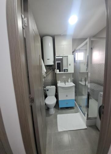 a small bathroom with a toilet and a sink at Montain apartament in Brezoi