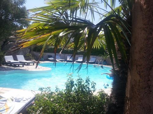 a swimming pool with blue water and palm trees at chambre residence stella d'oro in Porto-Vecchio