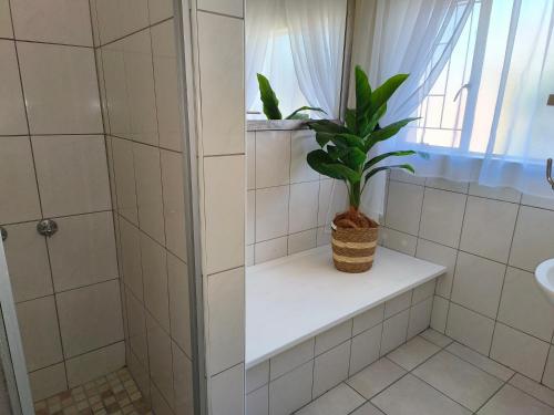 a bathroom with a plant on a shelf next to a shower at Wilger Guesthouse - Self-Catering Business Accommodation in Centurion in Centurion
