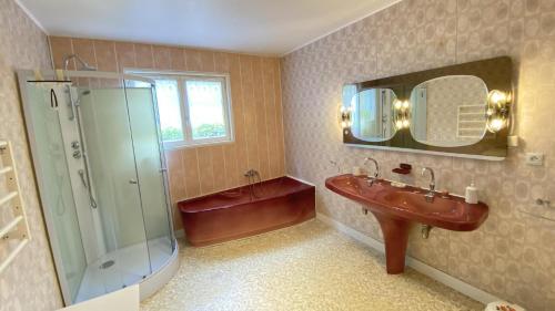 a bathroom with a sink and a shower and a mirror at Le champ godeau in Chilly
