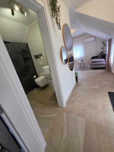 a bathroom with a shower and a toilet in a room at Velebitska Vila in Gračac
