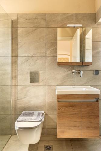 a bathroom with a toilet and a sink and a mirror at Spiros house in Svoronata
