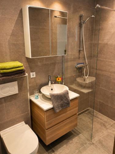 a bathroom with a sink and a toilet and a shower at De Veurdeale in Havelte