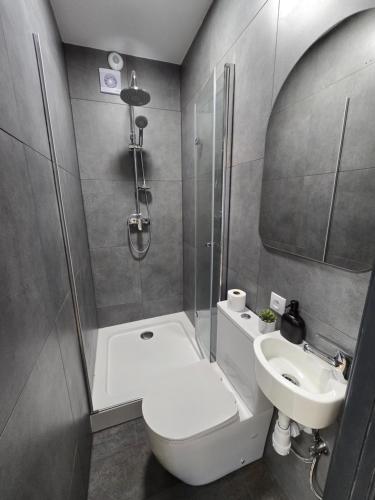 a bathroom with a shower and a toilet and a sink at Apartamenty Nad Suwalskim Bulwarem in Suwałki