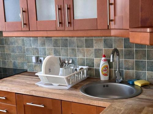 a kitchen sink with a dish drying rack next to it at Wrocławska Rooms in Poznań