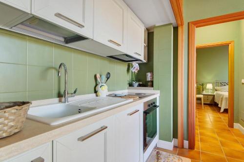 a kitchen with a sink and green walls at Pino Vallegrande in Procchio