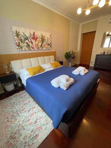 Charming apartment in a central area