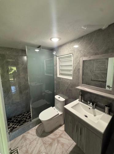 a bathroom with a toilet and a sink and a shower at Casa Campo Vieques PR in Vieques