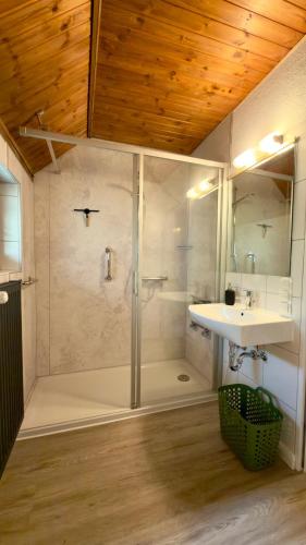 a bathroom with a shower and a sink at Kleine Auszeit Buchholz in Buchholz in der Nordheide