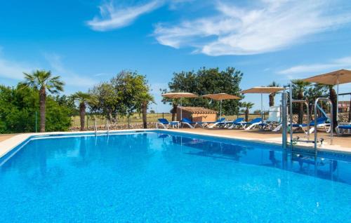 a large swimming pool with chairs and umbrellas at Sa Palmaria Dos in Can Picafort