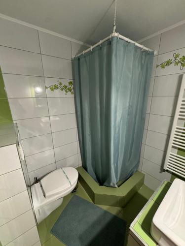 a small bathroom with a toilet and a shower at Pensiunea Valea Galbenei in Arieşeni
