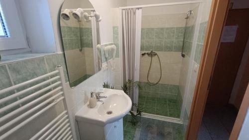 a bathroom with a sink and a shower at Pension Motel Anna in Lenora