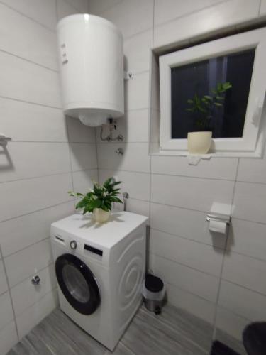Apartman Ljubica 1